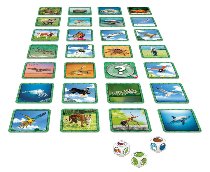 Specific Board Game by Gigamic | Educational Animal Observation Game f ...